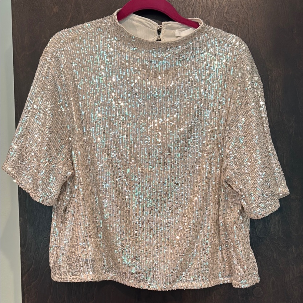 H&M silver Sequin Boxy Blouse Short Sleeve